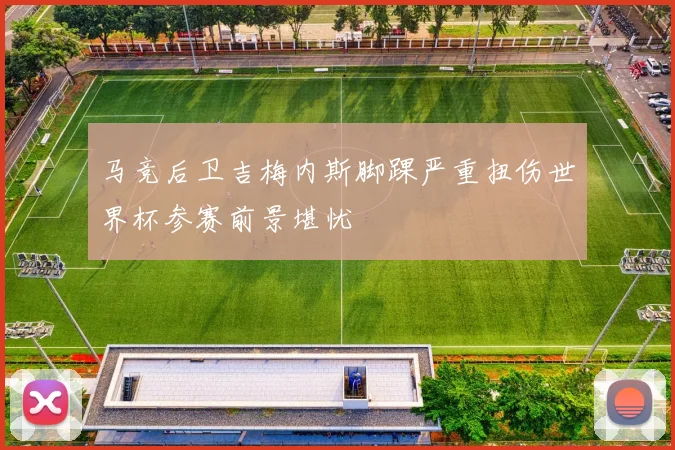 马竞后卫吉梅内斯脚踝严重扭伤世界杯参赛前景堪忧